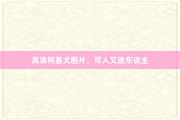 高清柯基犬图片，可人又迷东谈主