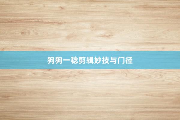 狗狗一稔剪辑妙技与门径