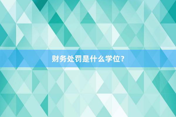 财务处罚是什么学位？